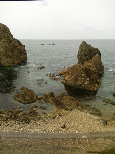 a0020929_23532396.jpg