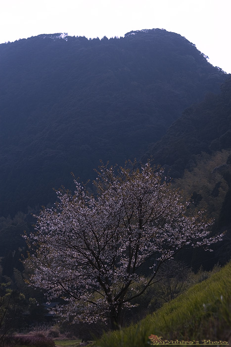 d0004832_11422091.jpg