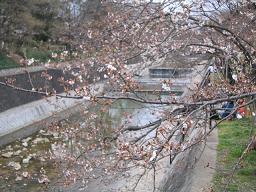 f0106532_12513858.jpg