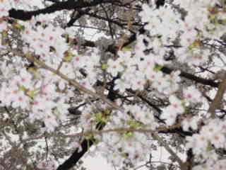 c0025033_2211895.jpg