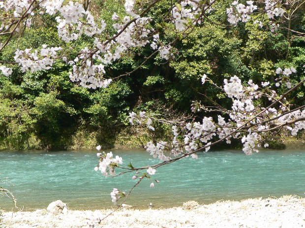 e0083238_2057442.jpg