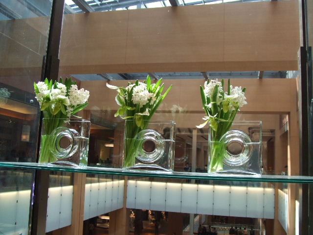 c0071545_2244043.jpg
