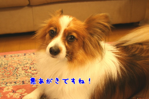 d0013149_0344340.jpg