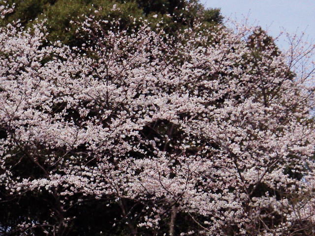 c0031856_21253222.jpg