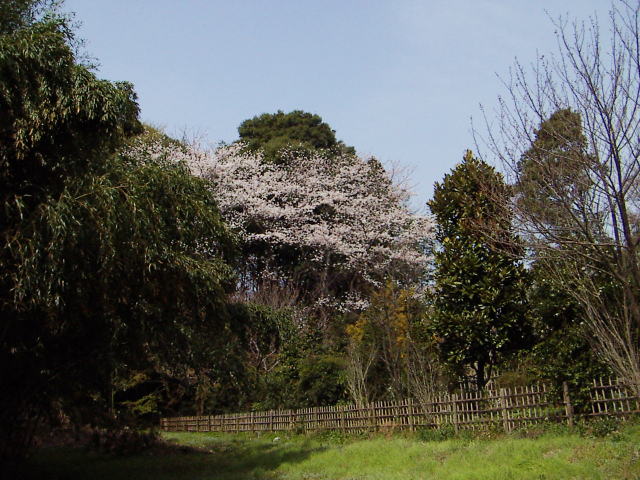 c0031856_21283026.jpg