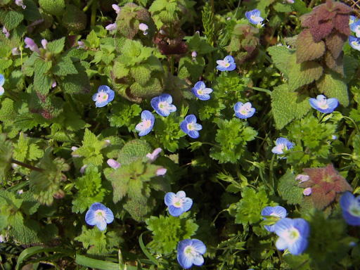 c0031856_21303868.jpg