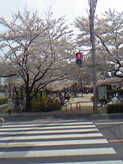 c0077465_23515249.jpg