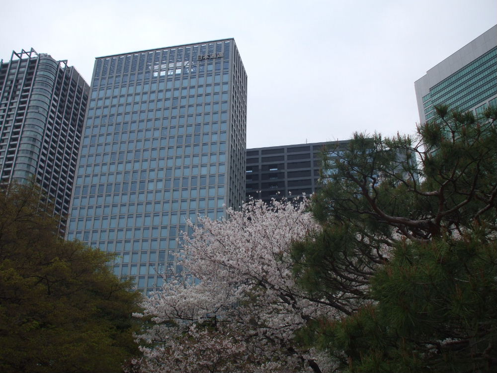 f0131165_22111287.jpg