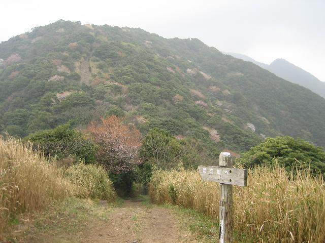 f0016066_19192465.jpg