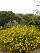 c0102268_18422045.jpg