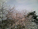 f0016868_13143188.jpg