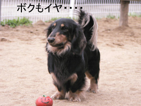 f0065568_20101077.jpg