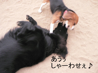 f0065568_20105849.jpg