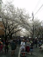e0089272_1782057.jpg