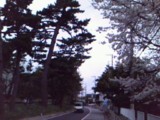 c0007174_1937438.jpg