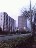 c0007174_19383398.jpg