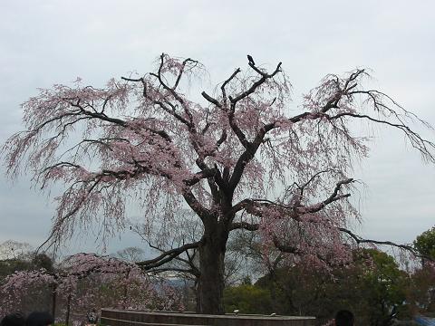 f0099876_17581097.jpg