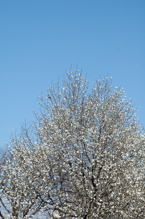 e0015377_2138420.jpg