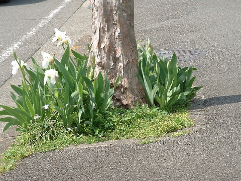 d0000778_22312481.jpg