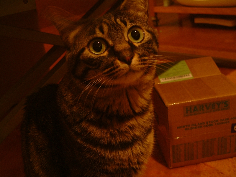 e0076779_2010351.jpg