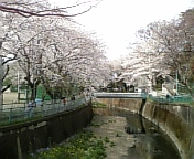 d0110688_2262875.jpg