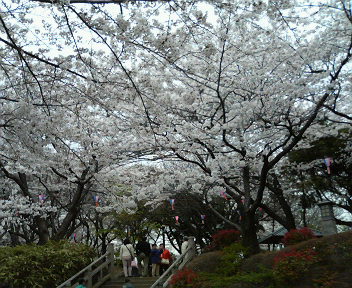 f0018790_0563194.jpg
