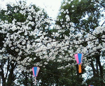 f0018790_0565695.jpg