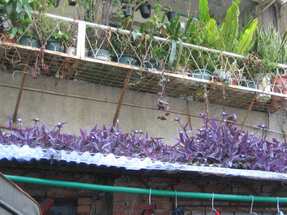 c0079397_2140449.jpg