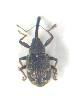 e0083097_22285870.jpg