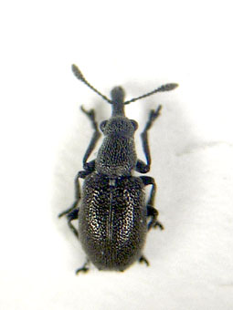 e0083097_22343817.jpg