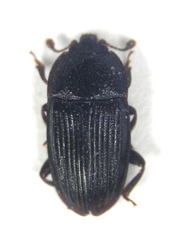 e0083097_22394572.jpg