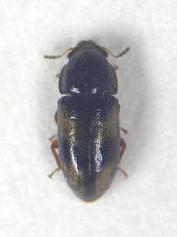 e0083097_22431133.jpg