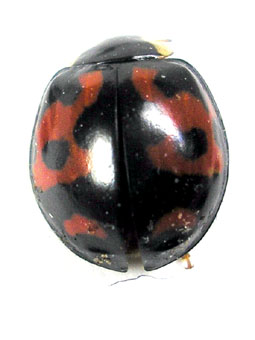 e0083097_2332321.jpg