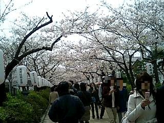 c0023399_1238398.jpg