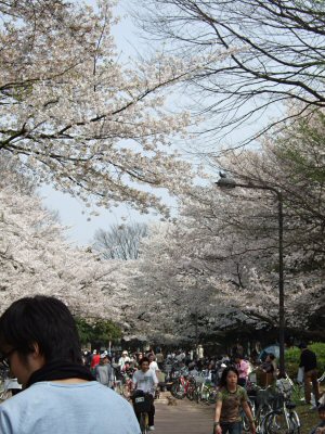 c0050400_22293349.jpg