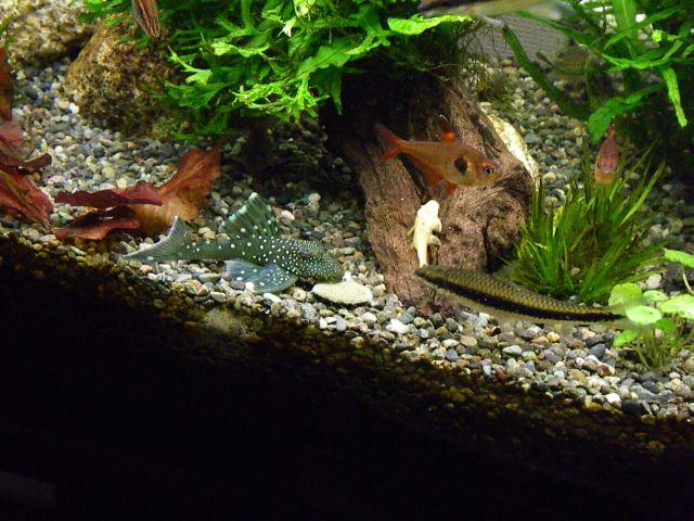 e0010301_16334100.jpg