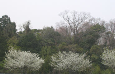 b0054602_13143081.jpg