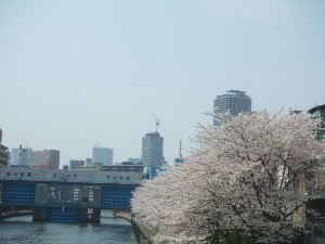 e0040602_23425867.jpg