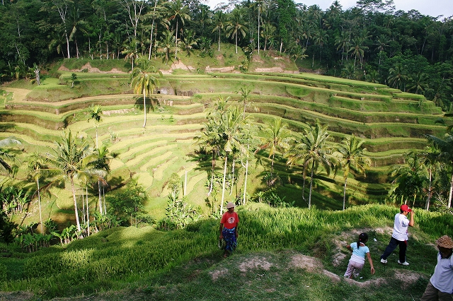 d0112003_14282861.jpg