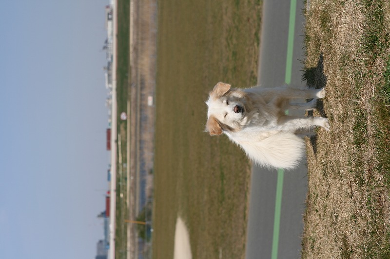 a0032004_15391053.jpg