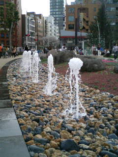 a0088007_1145555.jpg