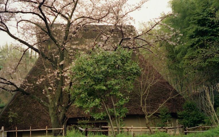d0071507_2374819.jpg