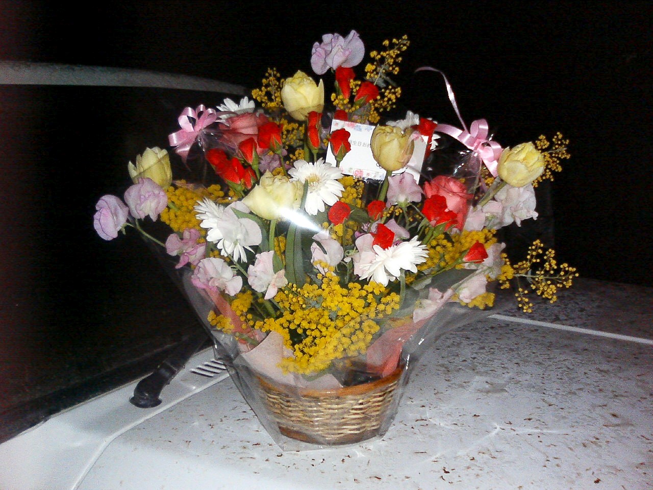 a0072808_23433573.jpg