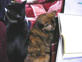 f0135908_11122343.jpg