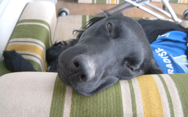 c0017311_14215998.jpg