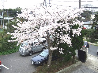 c0038611_18341450.jpg