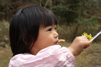 a0044114_2365187.jpg