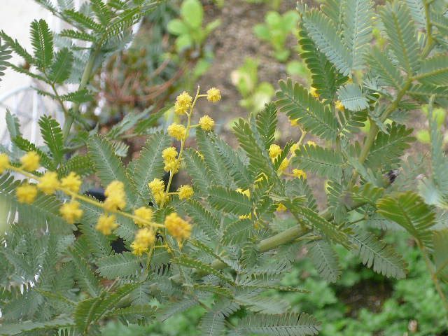 e0026017_13364143.jpg