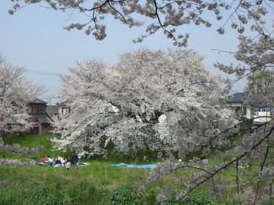 c0089719_13353385.jpg