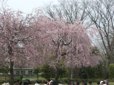 c0089719_13363640.jpg